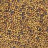Mezcla de semillas de alfalfa y rúcula para germinar ecológicas - Germ'line