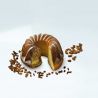 Molde savarin de silicona - Silikomart