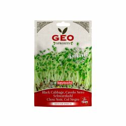 Semillas de col negra para germinar ecológicas