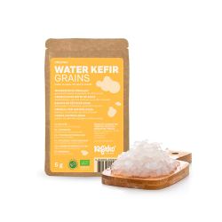 Nódulos deshidratados para hacer kéfir de agua - Kefirko