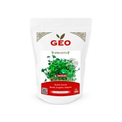 Semillas de rúcula para germinar ecológicas - Bavicchi GEO