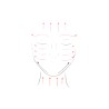 Rodillo masajeador facial de cuarzo rosa - Zen Arome
