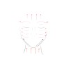 Rodillo masajeador facial de jade verde - Zen Arome