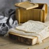 Kit para hacer tofu - Nuts