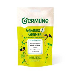 Semillas de brócoli calabrese  para germinar, ecológicas