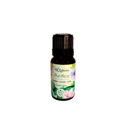 Mezcla de 3 aceites esenciales ecológicos "Purifica" - Labiatae