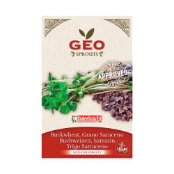 Semillas de trigo sarraceno para germinar ecológicas - Bavicchi GEO