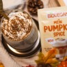 Pumpkin spice, mezcla de especias ecológicas para calabaza - Biovegan