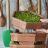 Germinador de barro, 3 bandejas - Bavicchi GEO