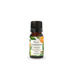 Mezcla de 3 aceites esenciales ecológicos "Concentración" - Labiatae