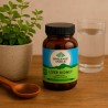 Fórmula ayurvédica para hígado y riñón, ecológica, en cápsulas - Organic India
