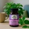 Tulsi/Albahaca sagrada, ecológico, en cápsulas - Organic India