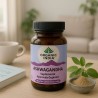 Ashwagandha ecológica, en cápsulas - Organic India