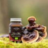 Mico Rei ecológico, en cápsulas - Hifas da Terra