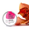 Bálsamo labial bio con protector solar, 15 ml - Amapola Biocosmetics