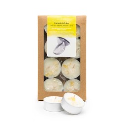 Pack 8 velas de té perfumadas con aceites esenciales ecológicos, Esencia cítrica - CanVela