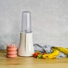 Batidora Personal Blender PB 250