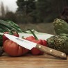 Cuchillo cocinero liso de acero inoxidable al nitrógeno, serie Nórdika, 14 cm - Arcos