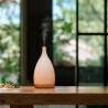 Difusor de cristal y madera ultrasónico "Corona blanco" - Serene House