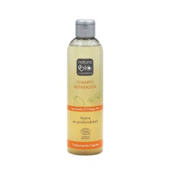Champú ecológico reparador con ginkgo para cabello dañado - NaturaBio Cosmetics