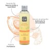 Champú ecológico reparador con ginkgo para cabello dañado - NaturaBio Cosmetics