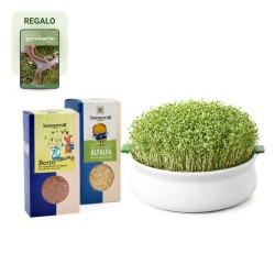 Kit de inicio para germinar en plato, para semillas mucilaginosas y no mucilaginosas