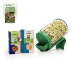 Kit de inicio para germinar en tarro, para semillas no mucilaginosas