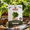 Semillas de acelga verde ecológica, 5 g - Bavicchi