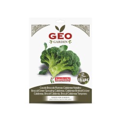 Semillas de brócoli Calabrese temprano ecológicas, 4 g - Bavicchi GEO