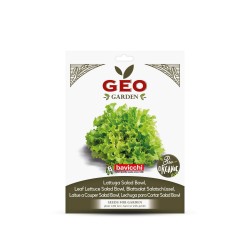 Semillas de lechuga para ensalada ecológicas, 2 g - Bavicchi GEO