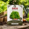 Semillas de lechuga de hoja verde ecológicas, 2 g - Bavicchi GEO