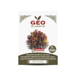 Semillas de lechuga roja para ensalada ecológicas, 2 g - Bavicchi GEO