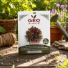 Semillas de lechuga de hoja roja ecológicas, 2 g - Bavicchi GEO