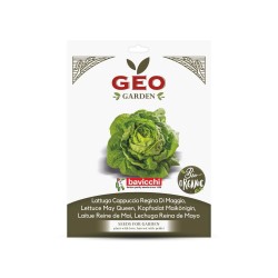 Semillas de lechuga Reina de mayo ecológicas, 3 g - Bavicchi GEO