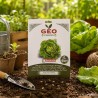 Semillas de lechuga Reina de mayo ecológicas, 3 g - Bavicchi GEO
