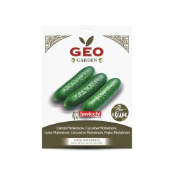 Semillas de pepino Marketmore ecológicas, 2 g - Bavicchi GEO