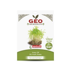 Semillas de eneldo para microgreens ecológicas, 15 g - Bavicchi GEO