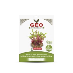 Semillas de remolacha Bull’s Blood para microgreens ecológicas, 15 g - Bavicchi GEO