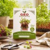 Semillas de remolacha Bull’s Blood para microgreens ecológicas, 15 g - Bavicchi GEO