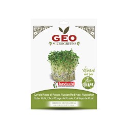 Semillas de col rizada roja de Rusia para microgreens ecológica, 15 g - Bavicchi GEO