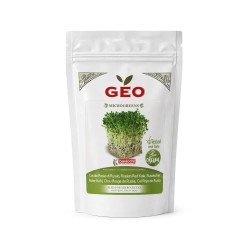 Semillas de col rizada roja para microgreens ecológicas, 300 g - Bavicchi GEO