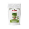 Semillas de col rizada roja de Rusia para microgreens ecológicas, 300 g - Bavicchi GEO