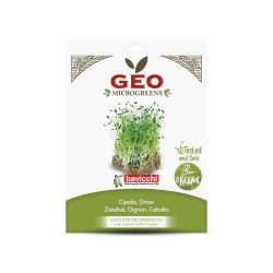 Semillas de cebolla para microgreens ecológicas, 10 g - Bavicchi GEO