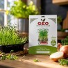 Semillas de cebolla para microgreens ecológicas, 10 g - Bavicchi GEO