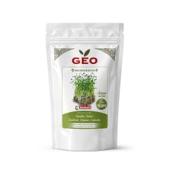 Semillas de cebolla para microgreens ecológicas, 150 g - Bavicchi GEO