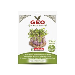 Semillas de colinabo Delicadeza azul para microgreens ecológicas, 15 g - Bavicchi GEO