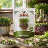 Semillas de colinabo Delicadeza azul para microgreens ecológicas, 15 g - Bavicchi GEO