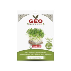 Semillas de Pak Choi blanco para microgreens ecológicas, 15 g - Bavicchi GEO