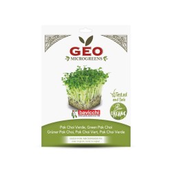 Semillas de Pak Choi verde para microgreens ecológicos, 15 g - Bavicchi GEO