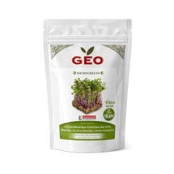 Semillas de colinabo Delicadeza azul para microgreens ecológicas, 300 g - Bavicchi GEO